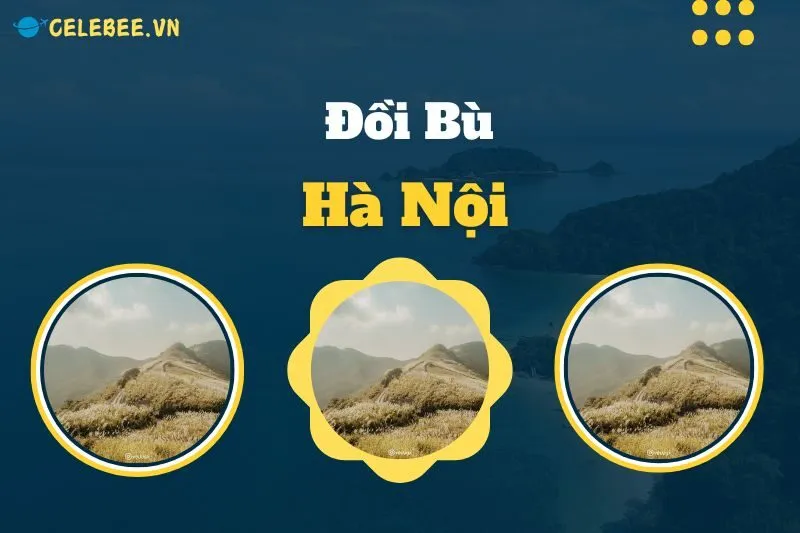 doi-bu-ha-noi-huong-dan-chi-tiet-kham-pha-diem-den-ly-tuong