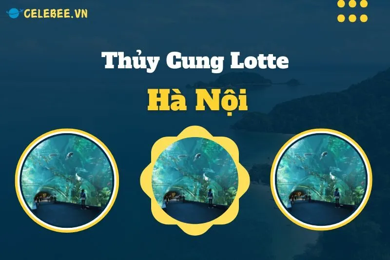 thuy-cung-lotte-ha-noi-dia-chi-gia-ve-va-trai-nghiem-doc-dao